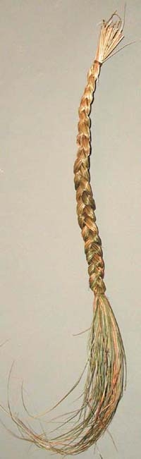 Sweetgrass