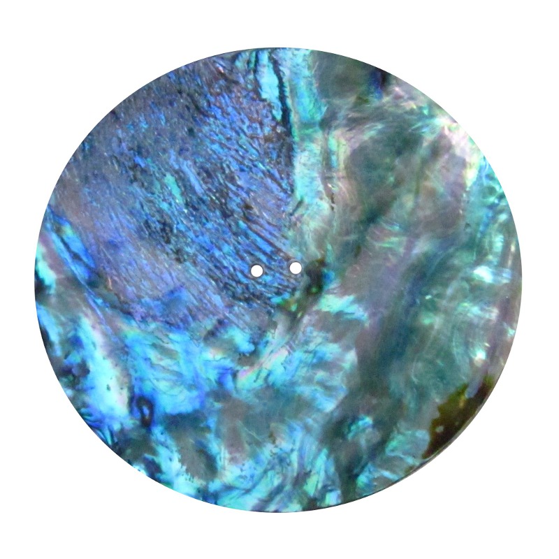 Abalone Shell, ø 50 mm
