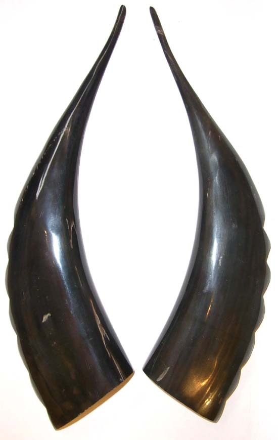 Split Horns