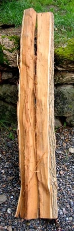 Osage Orange 