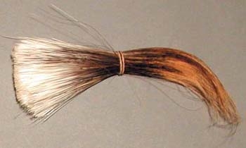 Stachelschweindeckhaar