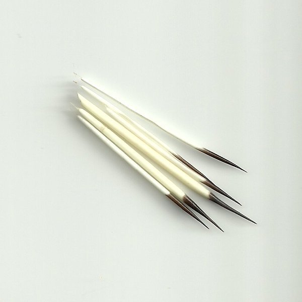 f2a09a3ddd85e4339c8c6afbad66b400NEqJxFdtzxXJx Quill orange
